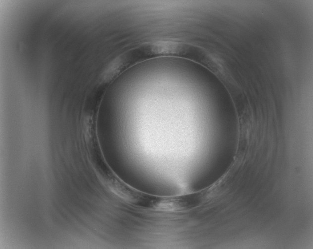 X0000065990171200603061307