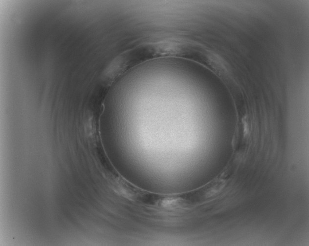 X0000065990173200603061307