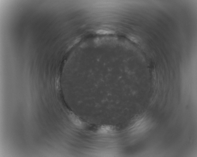 X0000065990177200603061307
