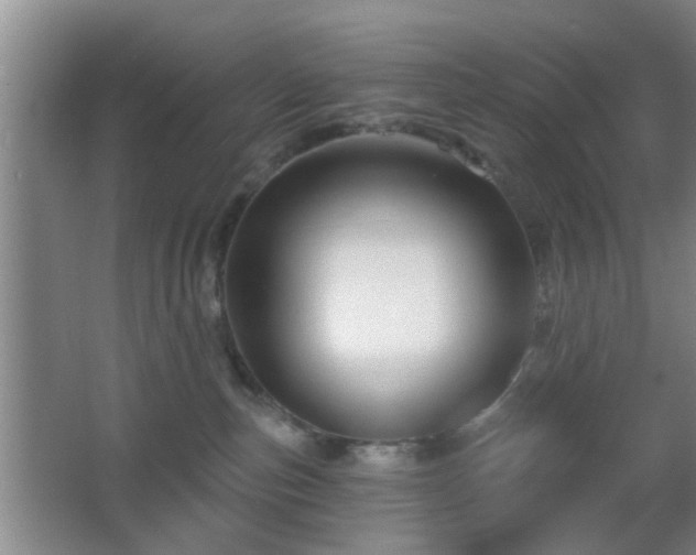 X0000065990187200603061307