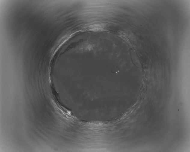 X0000065990194200603061306