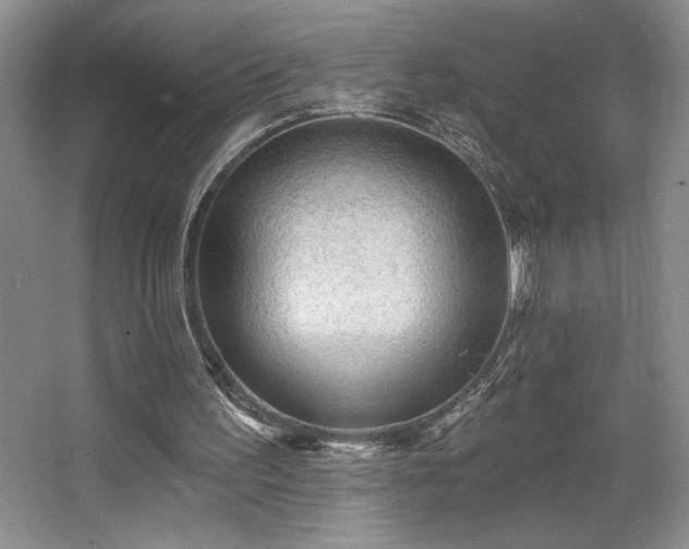 X0000065990195200603061306