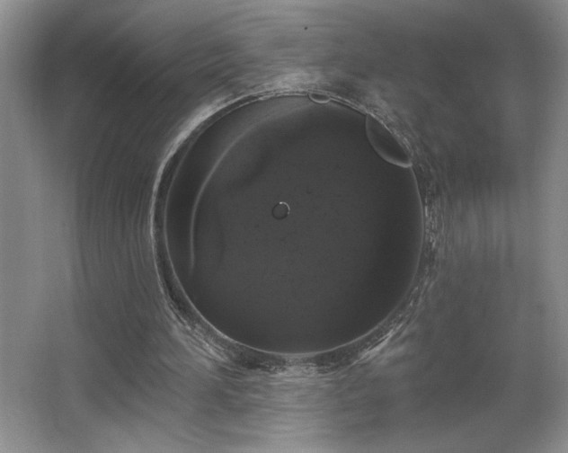 X0000065990196200603061306