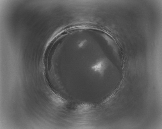 X0000065990198200603061306