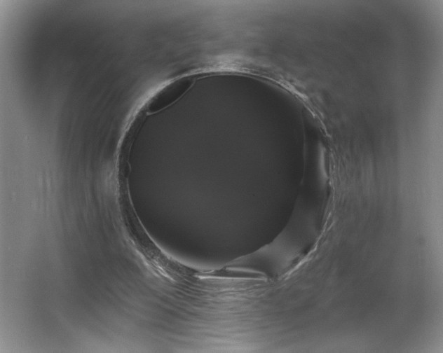 X0000065990200200603061306