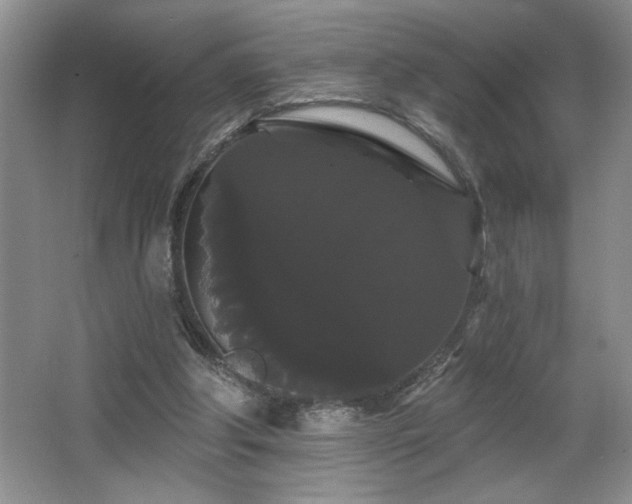 X0000065990202200603061306