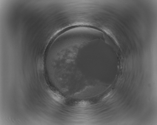 X0000065990204200603061306