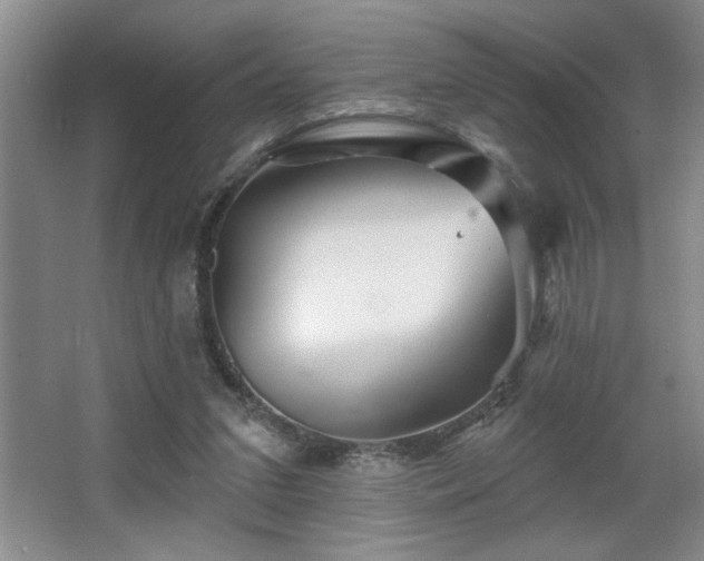 X0000065990207200603061306