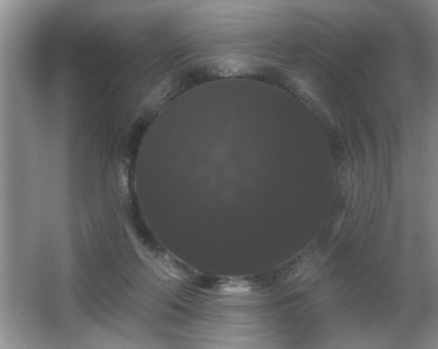X0000065990214200603061306
