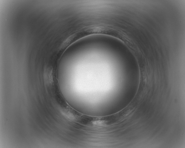 X0000065990216200603061306