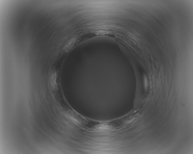 X0000065990219200603061306