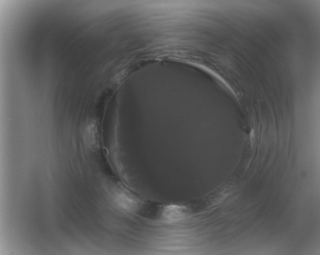 X0000065990222200603061306