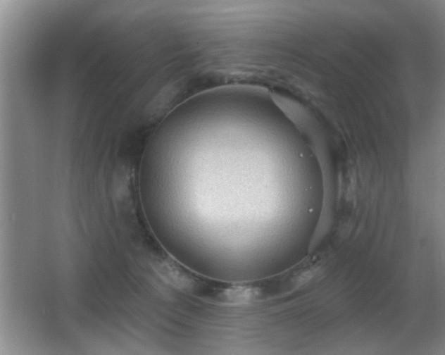 X0000065990225200603061306