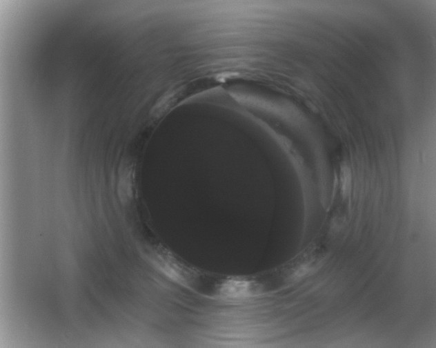 X0000065990227200603061306