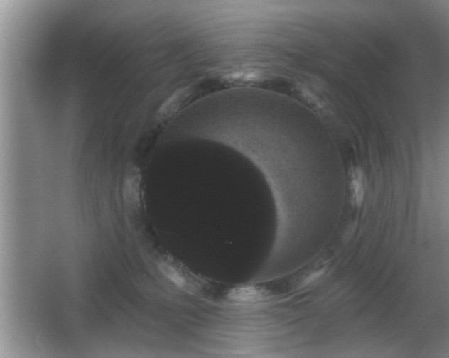 X0000065990231200603061305