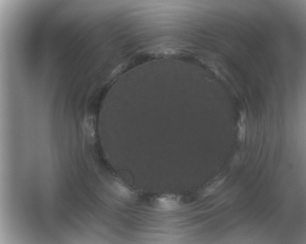 X0000065990232200603061305