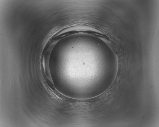 X0000065990242200603061305
