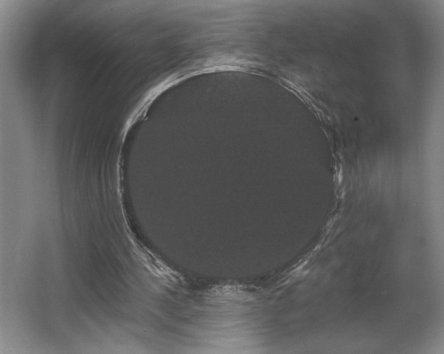 X0000065990244200603061305