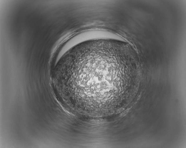 X0000065990245200603061305