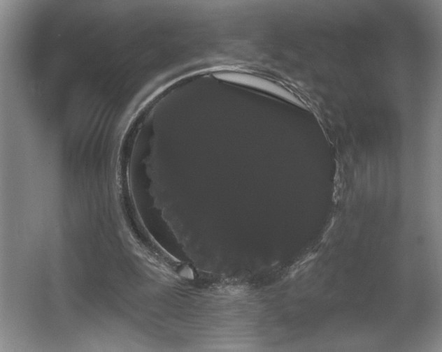 X0000065990247200603061305