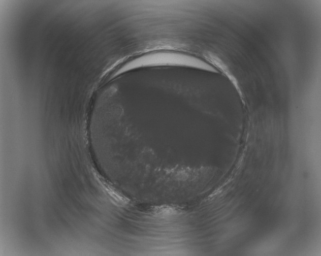 X0000065990249200603061305