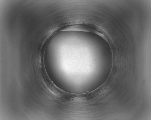 X0000065990251200603061305