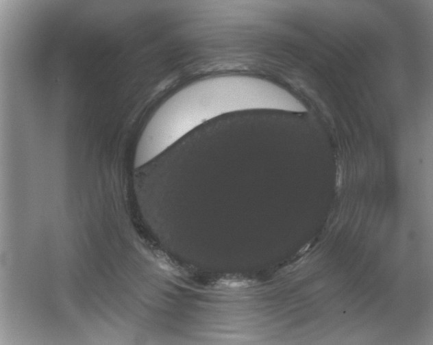 X0000065990260200603061305