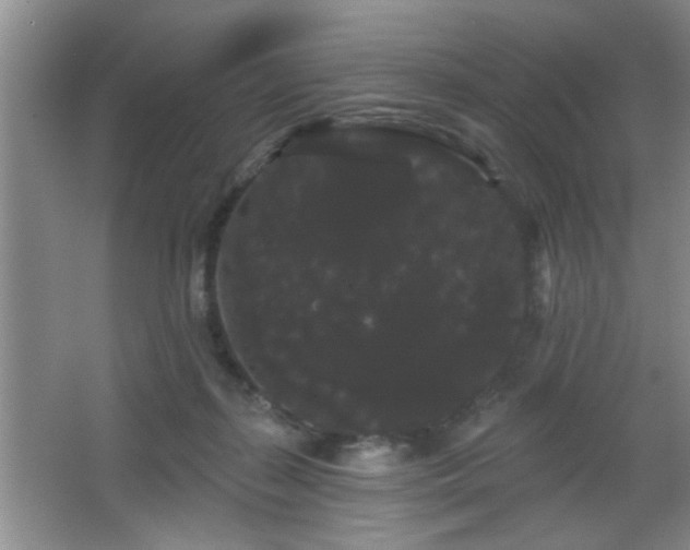 X0000065990267200603061305