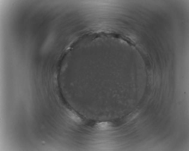 X0000065990269200603061305