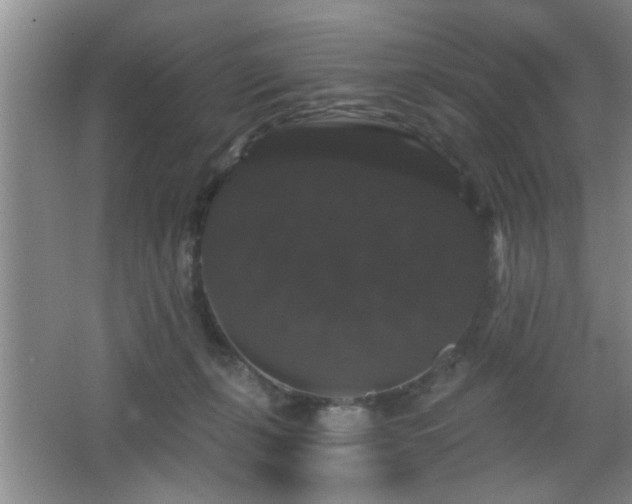 X0000065990271200603061305