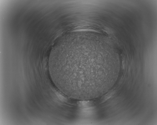 X0000065990273200603061305