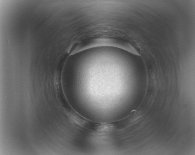 X0000065990274200603061305