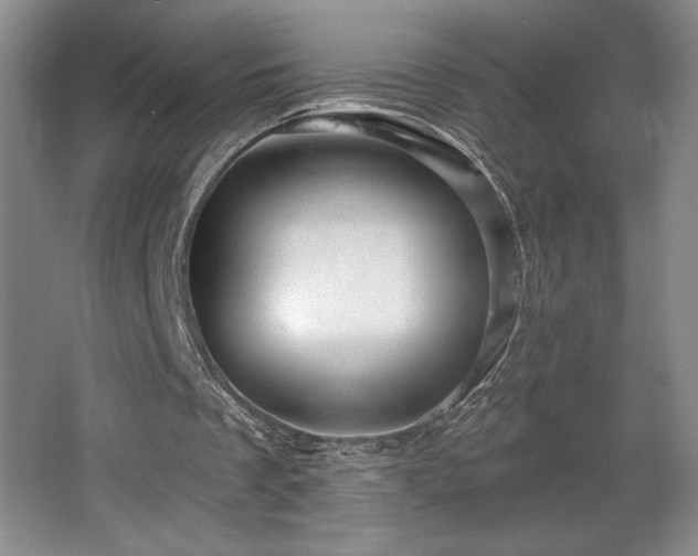 X0000065990289200603061305