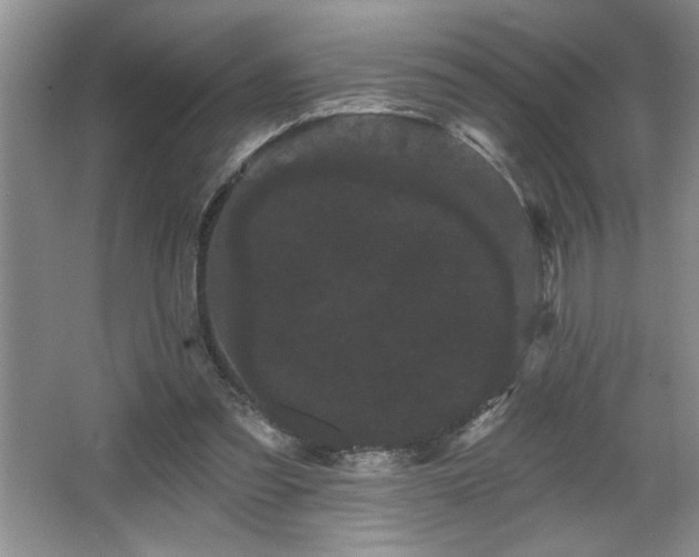 X0000065990301200603061304