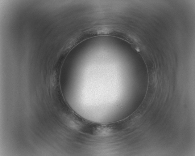X0000065990311200603061304