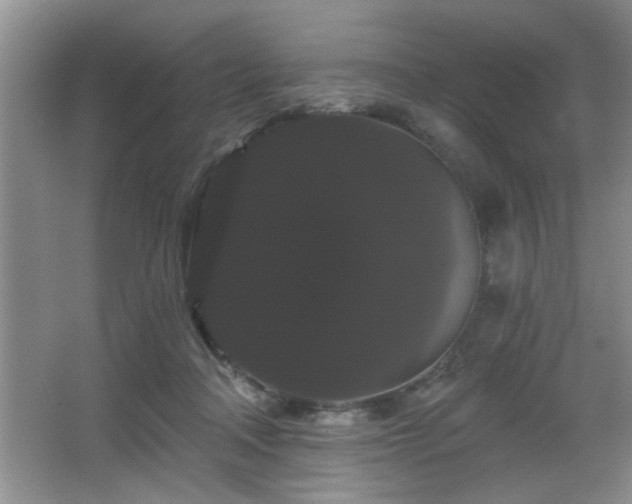 X0000065990314200603061304