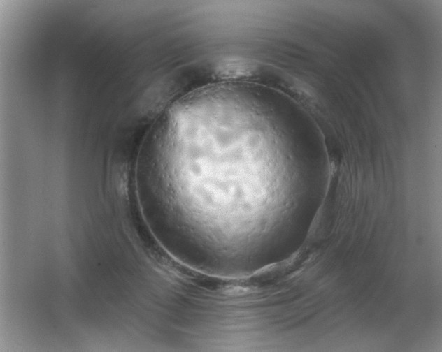 X0000065990315200603061304