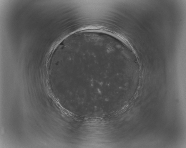 X0000065990337200603061303