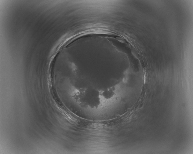 X0000065990339200603061303