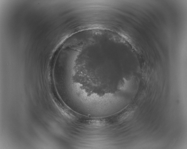 X0000065990347200603061303