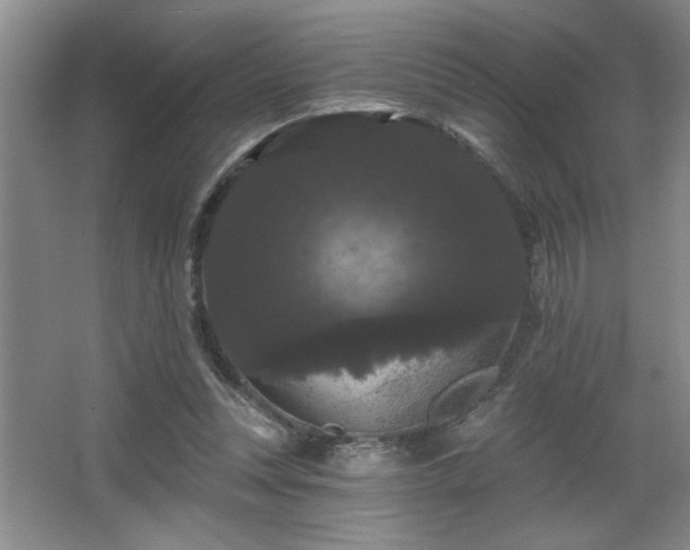 X0000065990351200603061303