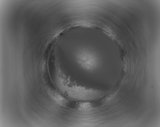 X0000065990355200603061303