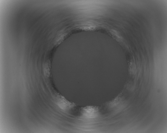 X0000065990370200603061303