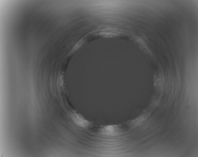 X0000065990382200603061304
