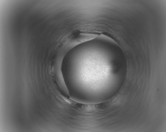X0000065990384200603061304