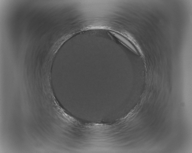 X0000065990385200603061303