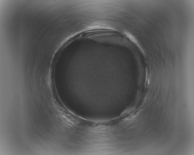 X0000065990387200603061303