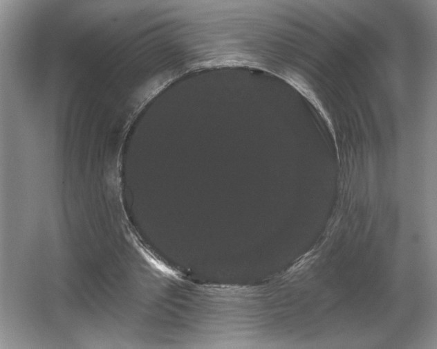 X0000065990389200603061303