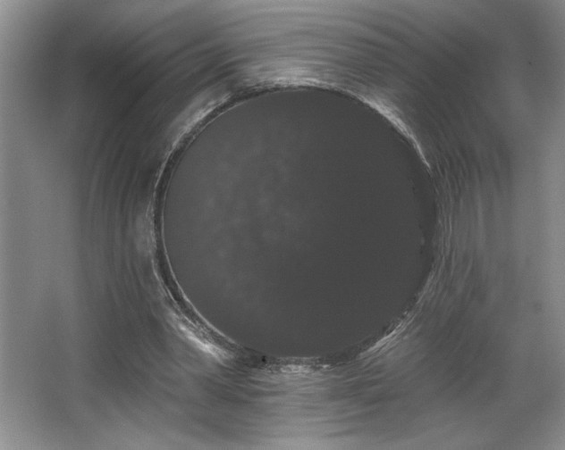 X0000065990390200603061303