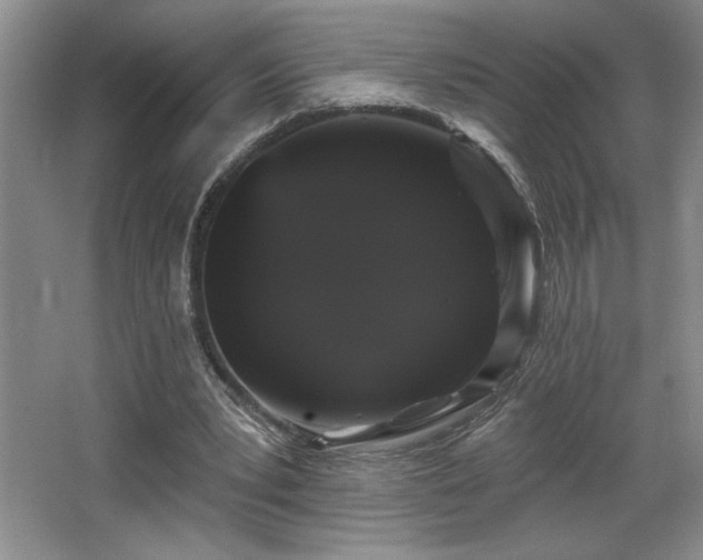 X0000065990391200603061303